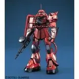 MG 1/100 MS-06S ザク2 コーティングver.