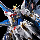 RG 1/144 ストライクフリーダムガンダム