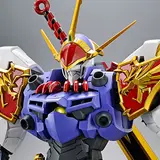 HG Amplified IMGN 龍神丸
