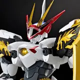 HG Amplified IMGN 龍王丸
