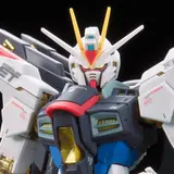 RG 1/144 ストライクフリーダムガンダム