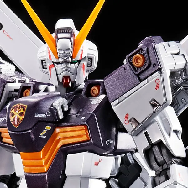 RG 1/144 クロスボーン・ガンダムX1