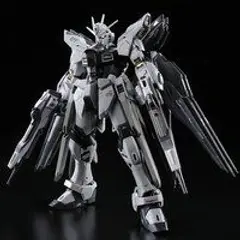 ＲＧ 1/144 ストライクフリーダムガンダム ディアクティ…